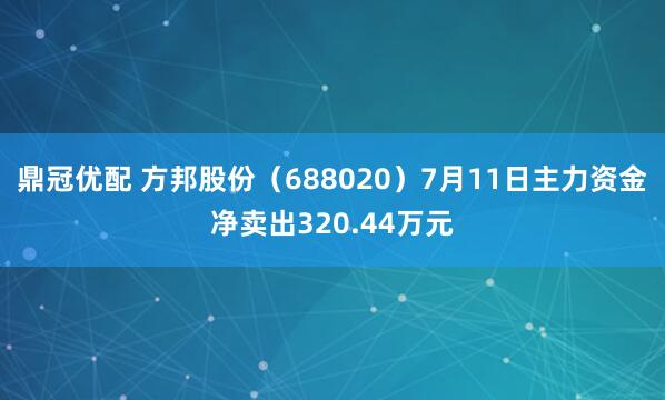 鼎冠优配 方邦股份（688020）7月11日主力资金净卖出320.44万元