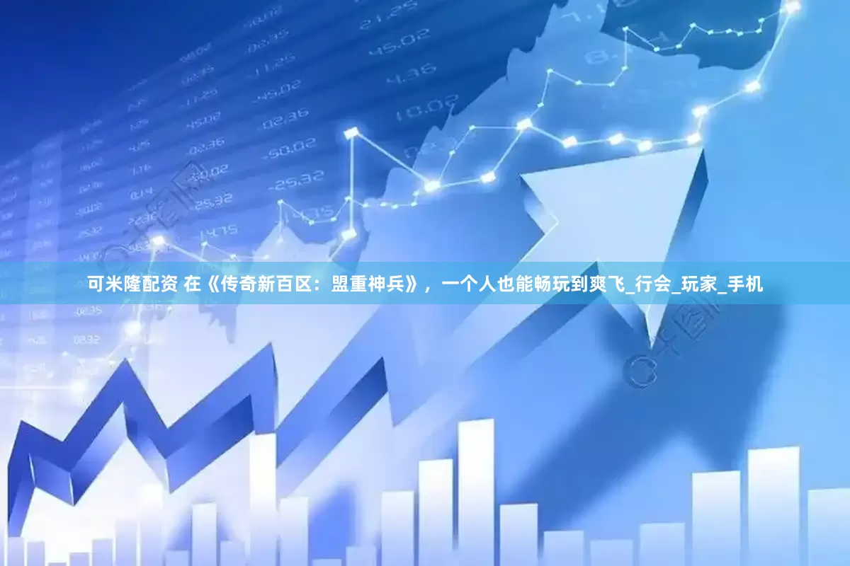 可米隆配资 在《传奇新百区：盟重神兵》，一个人也能畅玩到爽飞_行会_玩家_手机