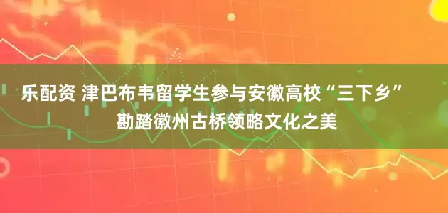 乐配资 津巴布韦留学生参与安徽高校“三下乡”     勘踏徽州古桥领略文化之美