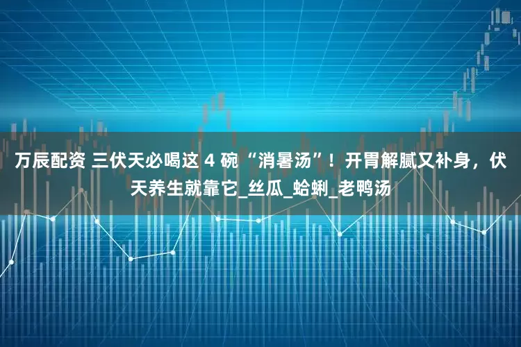 万辰配资 三伏天必喝这 4 碗 “消暑汤”！开胃解腻又补身，伏天养生就靠它_丝瓜_蛤蜊_老鸭汤
