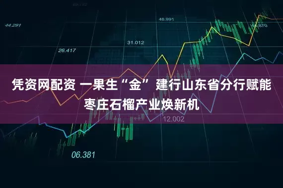 凭资网配资 一果生“金” 建行山东省分行赋能枣庄石榴产业焕新机
