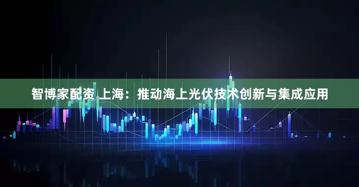 智博家配资 上海：推动海上光伏技术创新与集成应用